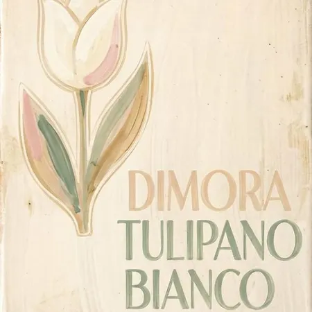 Dimora Il Tulipano Bianco